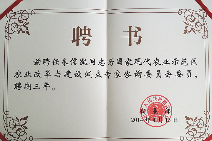 成人导航